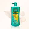 Шампунь – кондиционер от выпадения волос «Hazeline ginger anti – fall hair shampoo». арт 3216