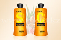 Шампунь и кондиционер для питания и защиты окрашенных волос «Luxliss»